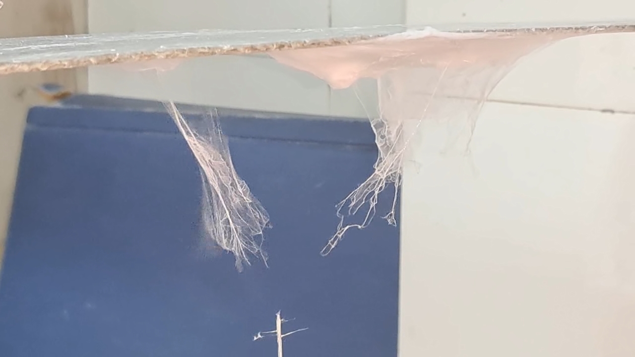 Electrospinning: Solutions of Polystyrene and Polyvinylidene Difluoride in Dimethylformamide